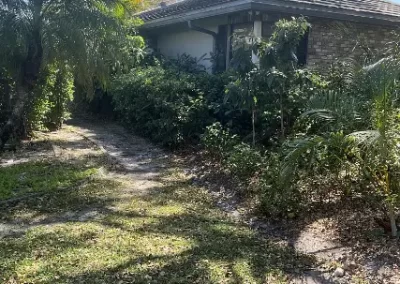 Roof Pressure Washing Company