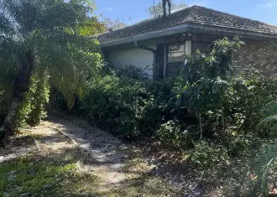 Roof Pressure Washing Contractor